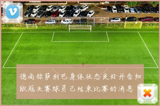 德尚称萨利巴身体状态良好并告知欧冠决赛球员已结束比赛的消息