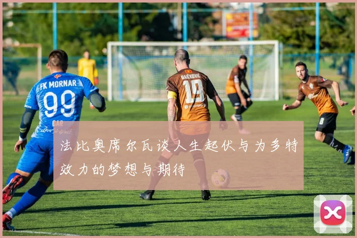 法比奥席尔瓦谈人生起伏与为多特效力的梦想与期待